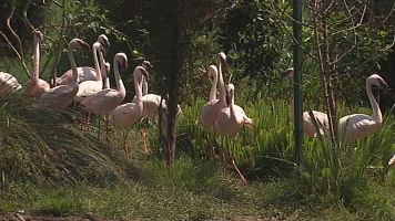 Naturaleza y diversin en el zoo de Santillana del Mar