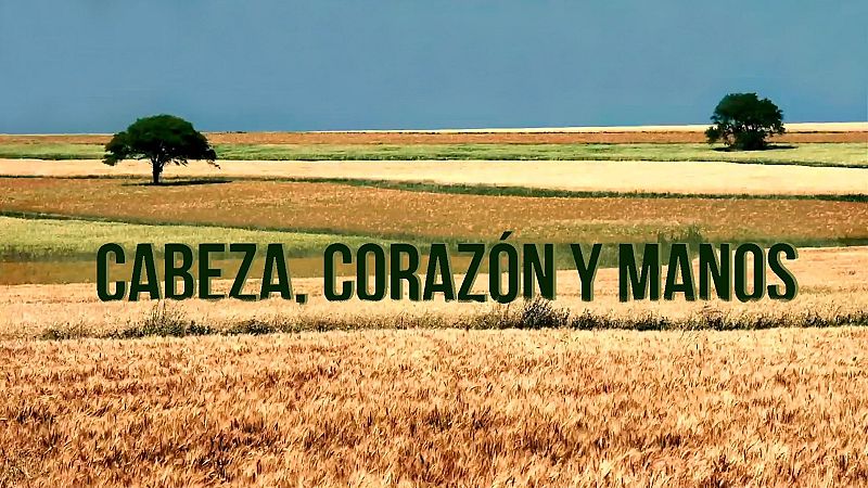 Vida verde - Ganaremos todos con la agricultura regenerativa - 14/09/24 - escuchar ahora