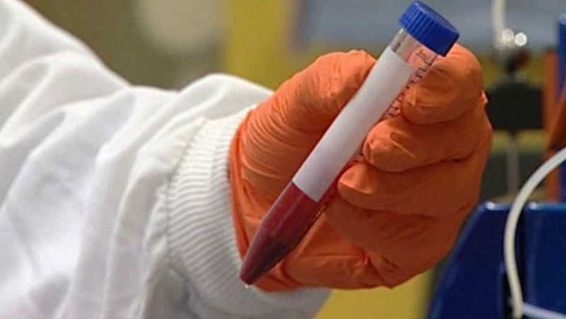 Donar sang i medul·la òssia salva vides