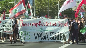 Jornada de mobilitzacions en suport a Palestina