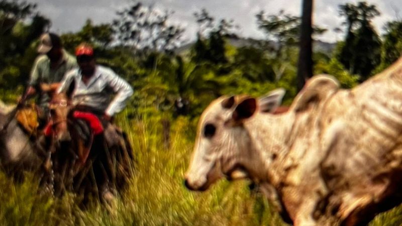 Reserva natural - Cuero amazónico y sed de regadíos - 03/10/24 - Escuchar ahora