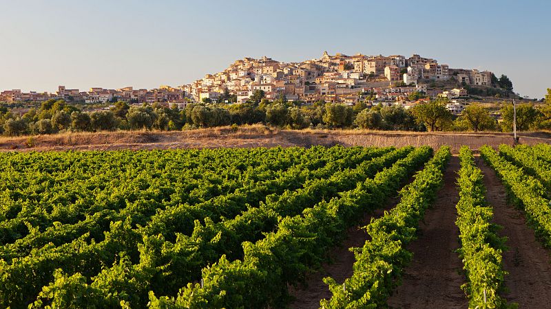 Mundo rural - Pesca: Demandas para la legislatura de la UE - 04/10/24