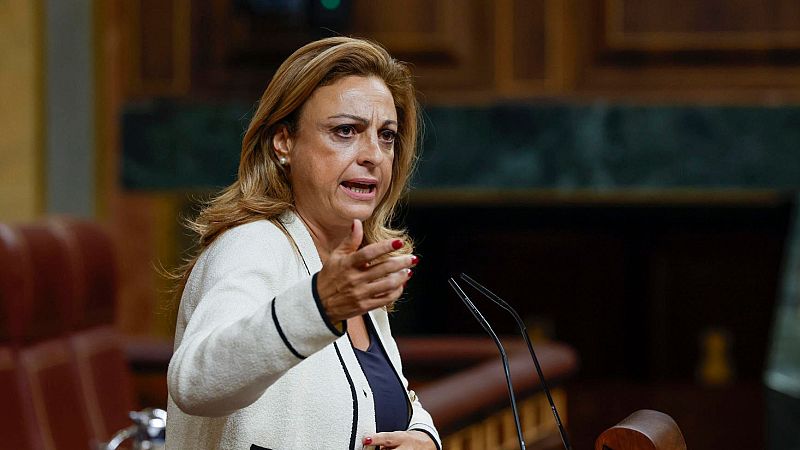 Parlamento RNE - Cristina Valido: "Si la reforma de la Ley de Extranjería no sale, el Gobierno tiene que actuar"