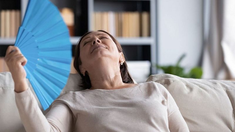 Memoria de delfín - Menopausia: la importancia de romper el tabú