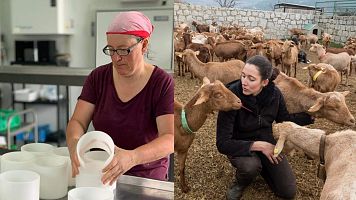 Mujeres profesionales de la elaboracin artesanal de queso y pastoreo en el siglo XXI