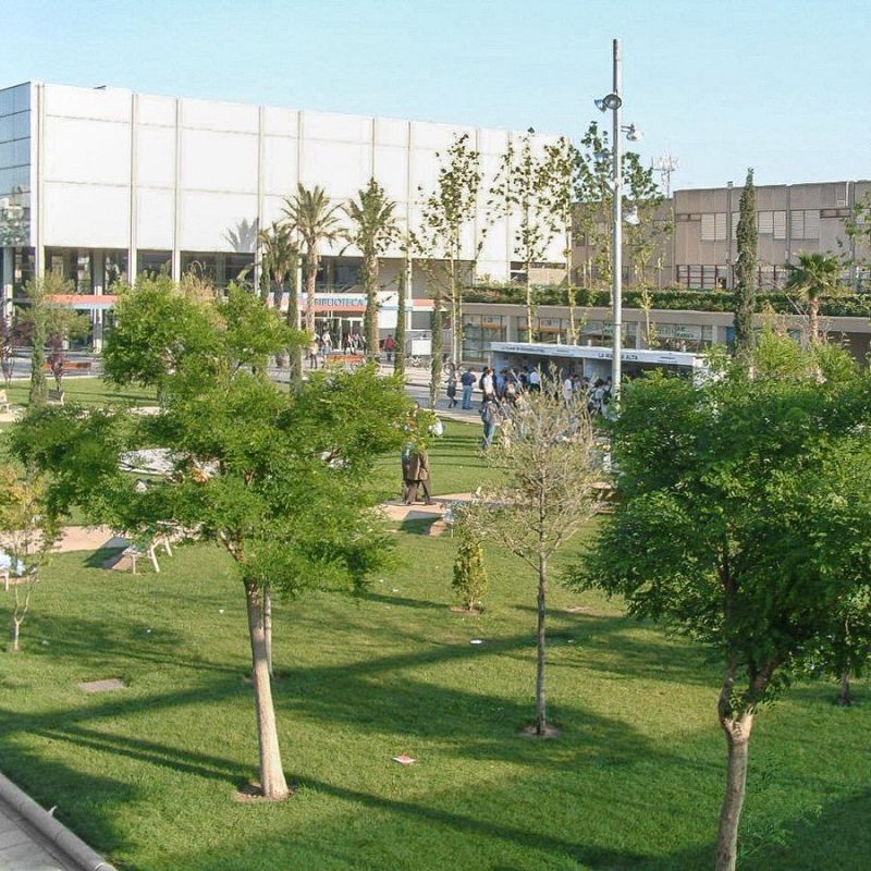 Más cerca - La DANA también ha afectado a la vida universitaria