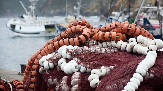 El sector pesquero desde la Comisión de Pesca de la UE