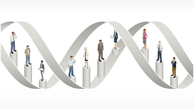 Consumo gusto - ADN - 19/11/24