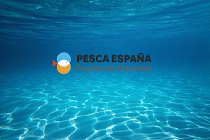 Talleres, campañas y estudios para poner en valor la pesca