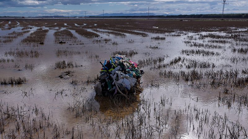España a las 8 Fin de semana - Carles Sanchis: "Los residuos están llegando a los sistemas naturales"