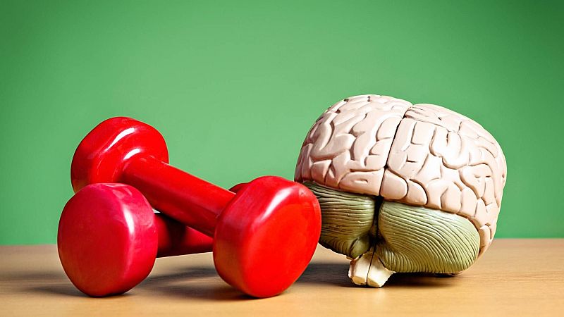 Futuro abierto - Cerebro y ejercicio físico - 25/11/24 - escuchar ahora