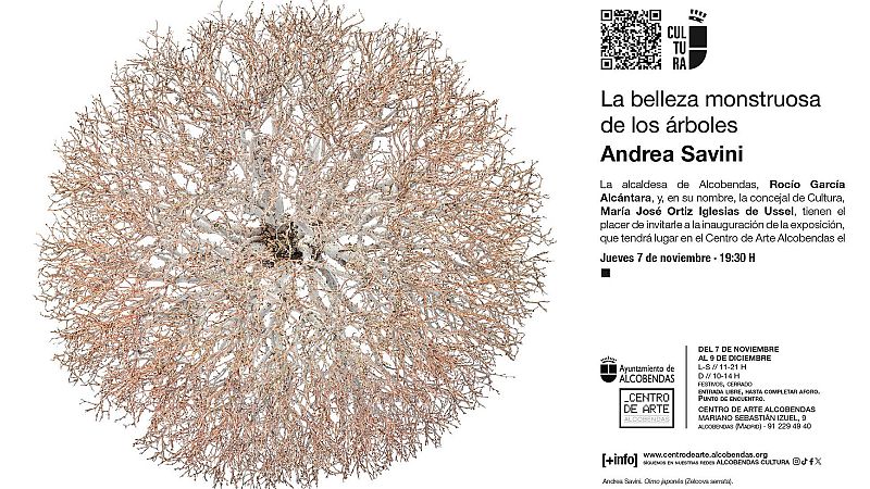 Planeta vivo - La belleza monstruosa de los árboles - 27/11/24 - Escuchar ahora