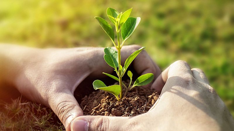 Lletra Lligada - Calma per criar als nostres fills i moure'ns per la vida - Lletra lligada | Escoltar