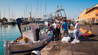 La importancia de las cofradías de pescadores en España