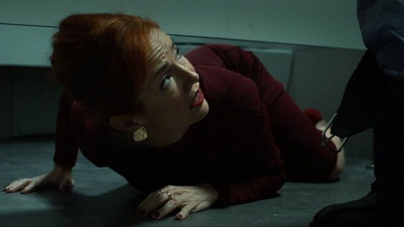 Memoria de delfín - El Día Más Corto