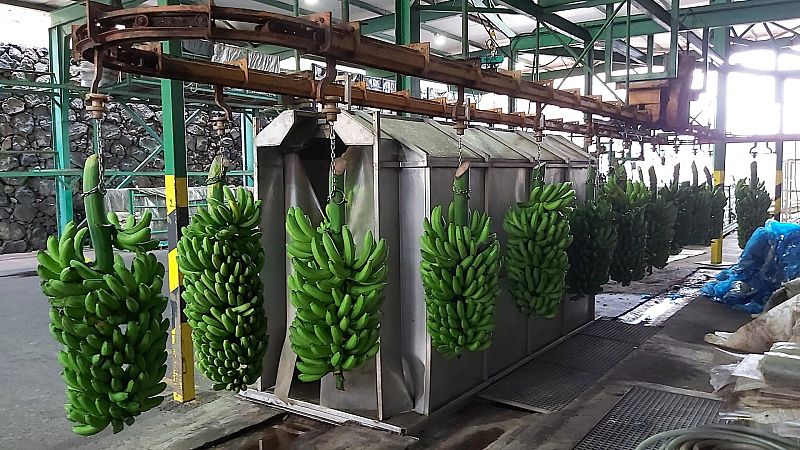 Preocupación por el impacto del acuerdo entre la UE y Mercosur en el sector primario canario