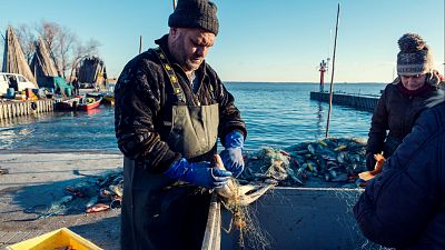 La certificación de pesca sostenible más exigente del mundo