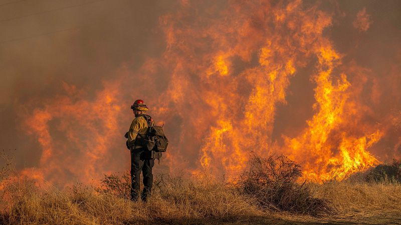 Prevencin ante incendios y ciudades sostenibles