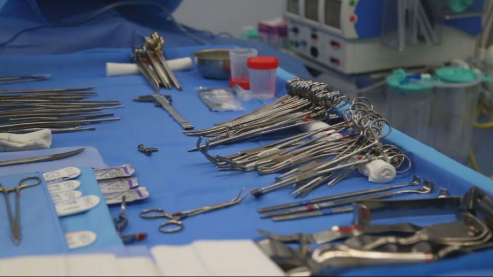 El 2024 ha estat el tercer millor any de la història en trasplantaments d'òrgans a Catalunya | Lourdes Gata