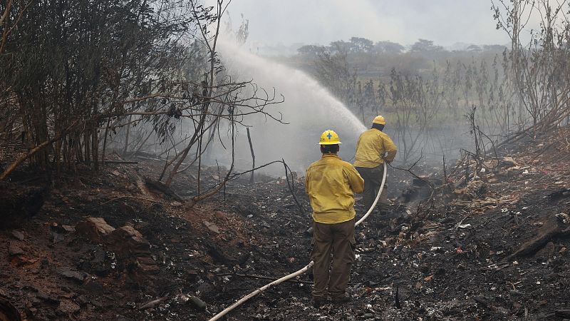 California, Australia y el sur de Europa tardan más en recuperarse de los incendios: "Nuestros ecosistemas tienen más sed"