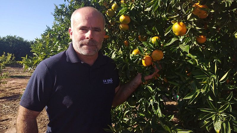 Carles Peris: "Las ayudas por parte del Gobierno de España y la Generalitat están siendo insuficientes y no están bien diseñadas" - Escuchar ahora