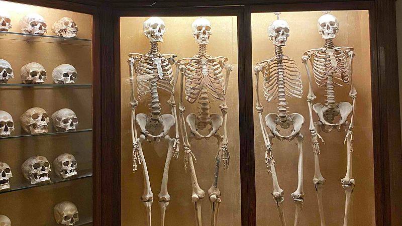 Global 5 - Museo Canario (IV): El entierro de los primeros pobladores - 05/02/25 - Escuchar ahora