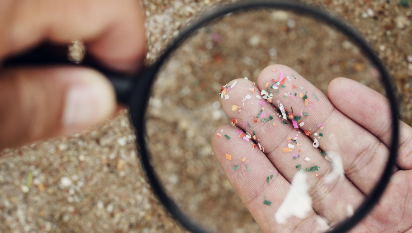 Las mañanas de RNE con Josep Cuní - El cerebro es la parte del cuerpo en la que se acumulan más microplásticos - Escuchar ahora