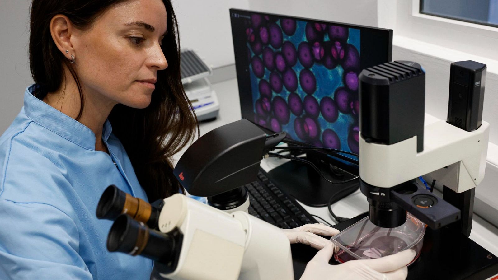 Las mañanas de RNE con Josep Cuní - La importancia de las mujeres en el ámbito STEM - Escuchar ahora