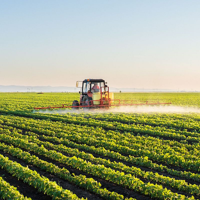 Europa abierta - La nueva "visión para la agricultura y la alimentación" de la UE busca contentar a los agricultores