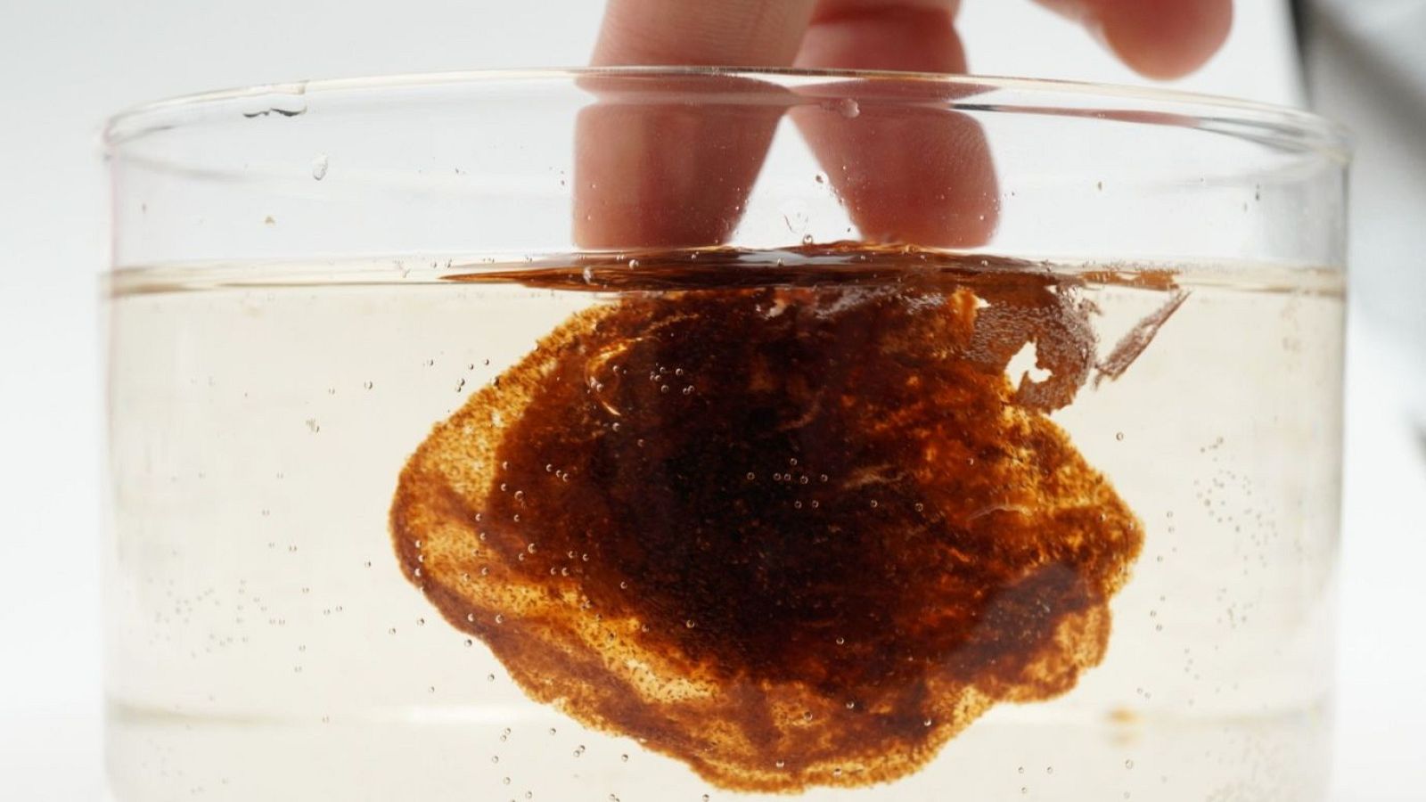 Las mañanas de RNE con Josep Cuní - Un fruto seco que se convierte en hidrogel - Escuchar ahora