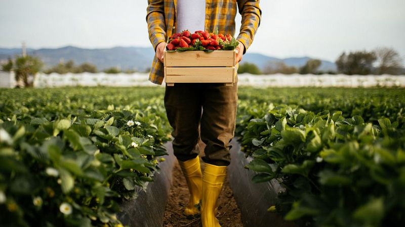 Mundo rural - Futura ley de agricultura familiar - 05/03/25