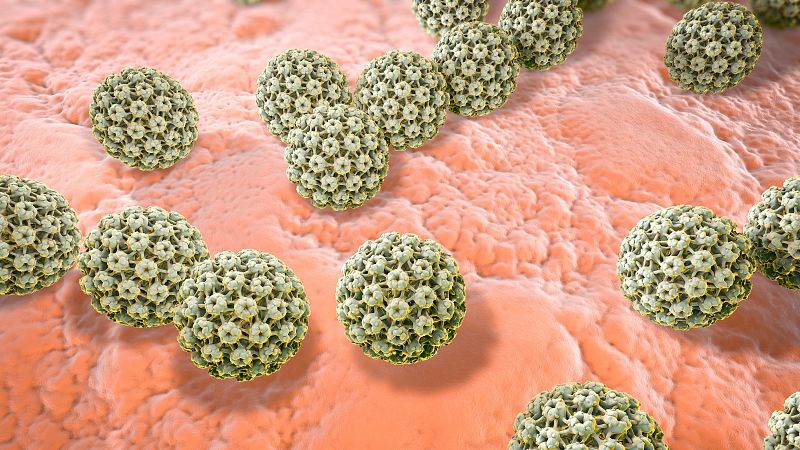 Primer estudi sobre la prevalença de la infecció oral pel virus del Papil·loma Huma