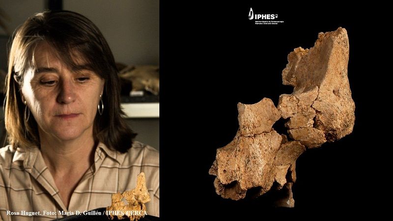 A hombros de gigantes - Descubren una nueva especie humana en Atapuerca, la más antigua de Europa occidental - 16/03/25 - Escuchar ahora
