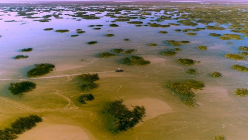 Reserva natural - Se estrena 'Doñana, donde el agua es sagrada' - 13/03/25 - Escuchar ahora