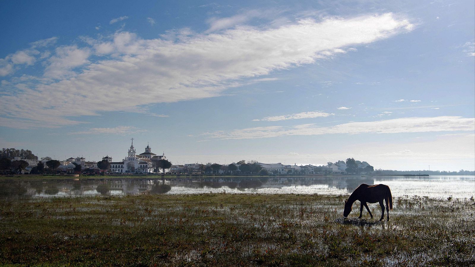 "Es importante es que tengamos una sucesión de años bastante húmedos para permitir que Doñana se recupere medianamente" - Escuchar ahora