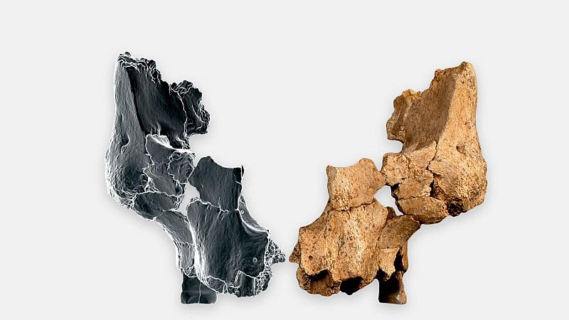 Pink, la cara fósil que revoluciona la paleoantropología - Escuchar ahora