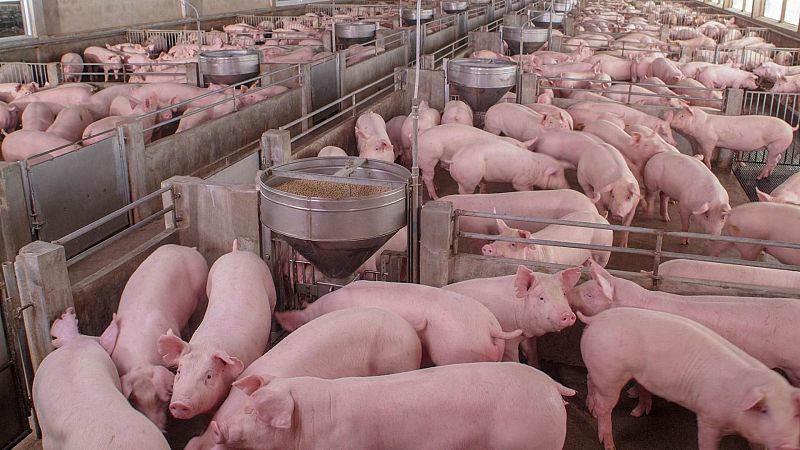 Los motivos de la discordia tras la ley contra el desperdicio alimentario