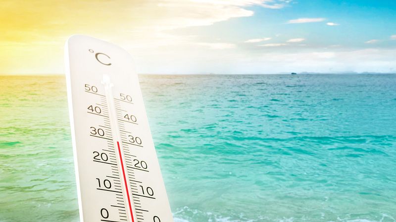 Planeta vivo - Más calor, menos pesca - 26/03/2025