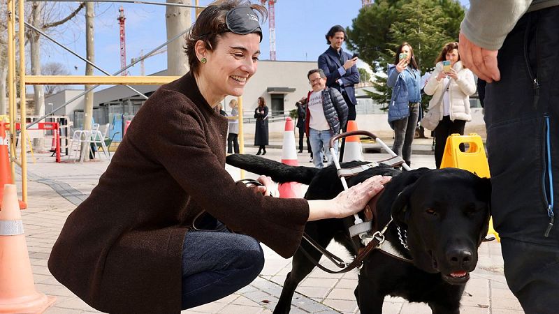 Para que veas - Los perros guía más felices del mundo se forman en España - 31/03/25 - Escuchar ahora