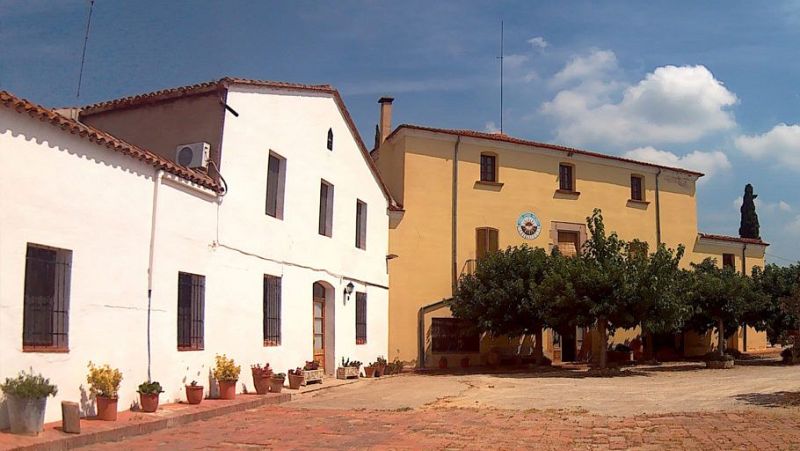 Vida Verda - Un sostre segur, cooperatives per a un habitatge digne - Escoltar Ara