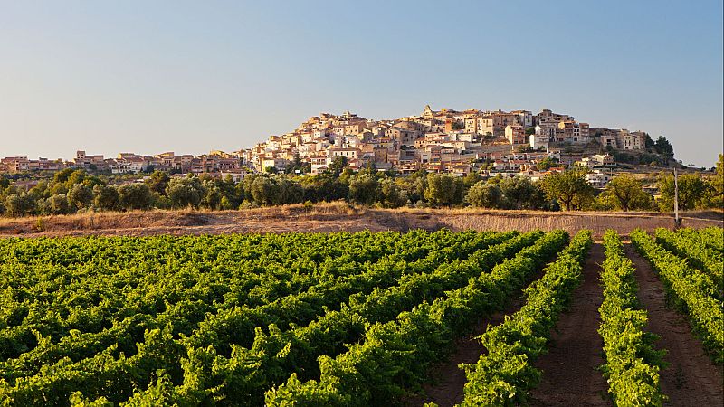 16.000 habitatges buits als municipis més petits | Joana Sendra
