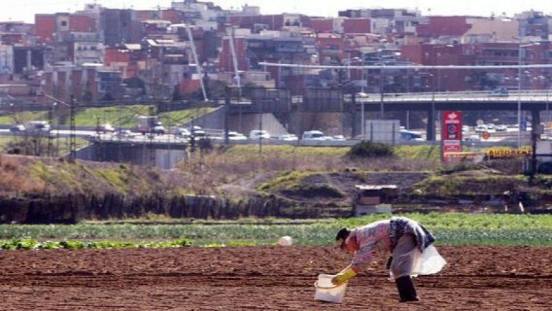 Injecció al sector agroalimentari per fer front als aranzels | Judit Huerta