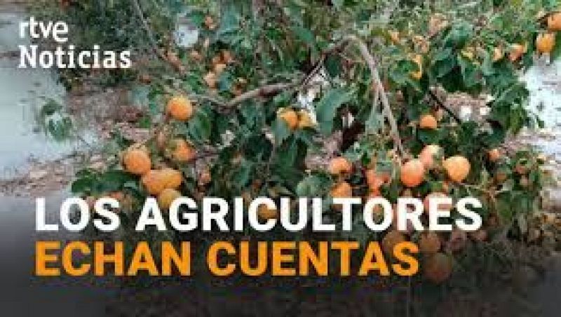 Mundo rural - PAC: Nuevos pagos a agricultores afectados por la dana - 14/04/25