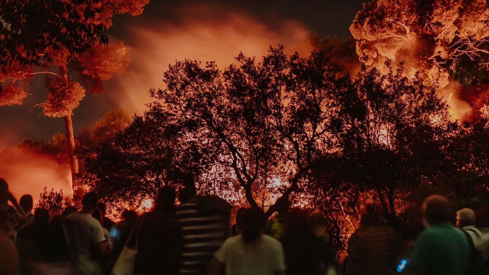 LiterNatura per Sant Jordi, Incendis al Sismgraf i un viatge sonor a Borneo