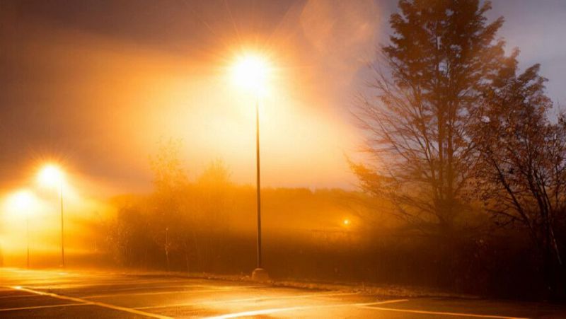 Vida Verda - Incendis. Entrar en el foc sense cremar-se