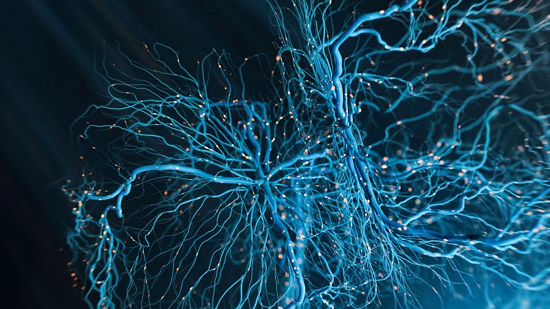 Entre probetas - Neurología, investigación y clínica… - 06/05/25 - Escuchar ahora