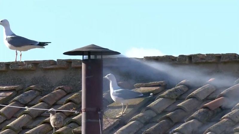 Conocemos la 'cara B' de la semana con Juan Carlos Soriano: "Las gaviotas y el pescador"