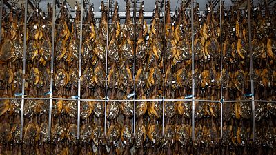 DOP Dehesa de Extremadura, dedicación de la dehesa a la mesa