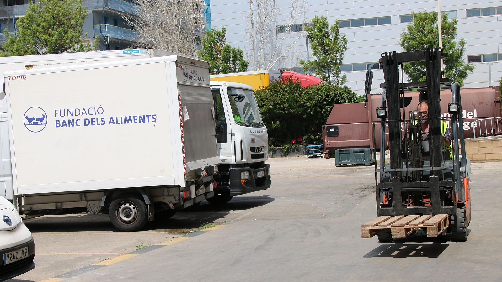 Catalunya emet 462 milions de tones de CO₂ per malbaratar aliments | Maria Huguet