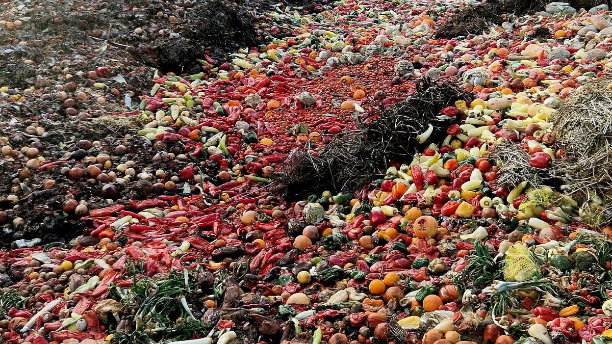 Émission en français - Pouvons-nous éviter le gaspillage alimentaire?